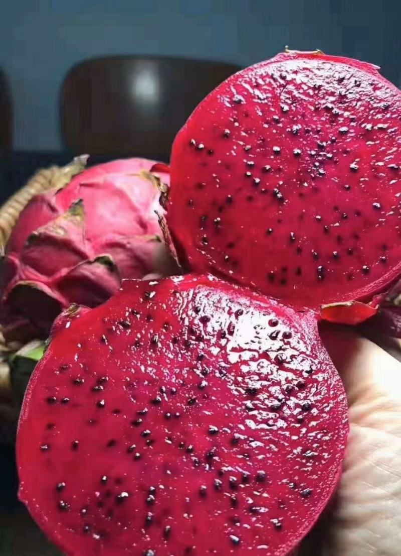 【免费包邮】越南红心火龙果进口新鲜水果当季大果整箱批发