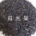 日光菊种子，芽率有保证，净度好，基地直发，量大从优