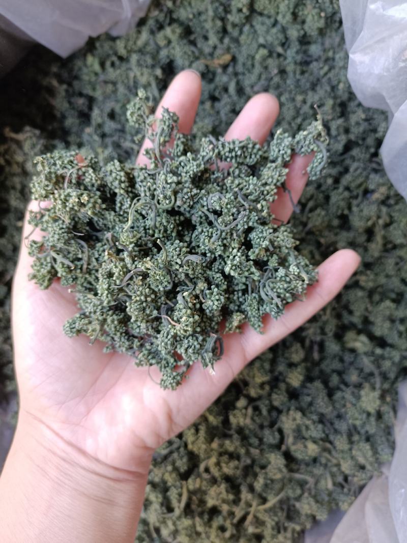 长白山六年人参花西洋参花新鲜采摘自然晾晒产地包邮