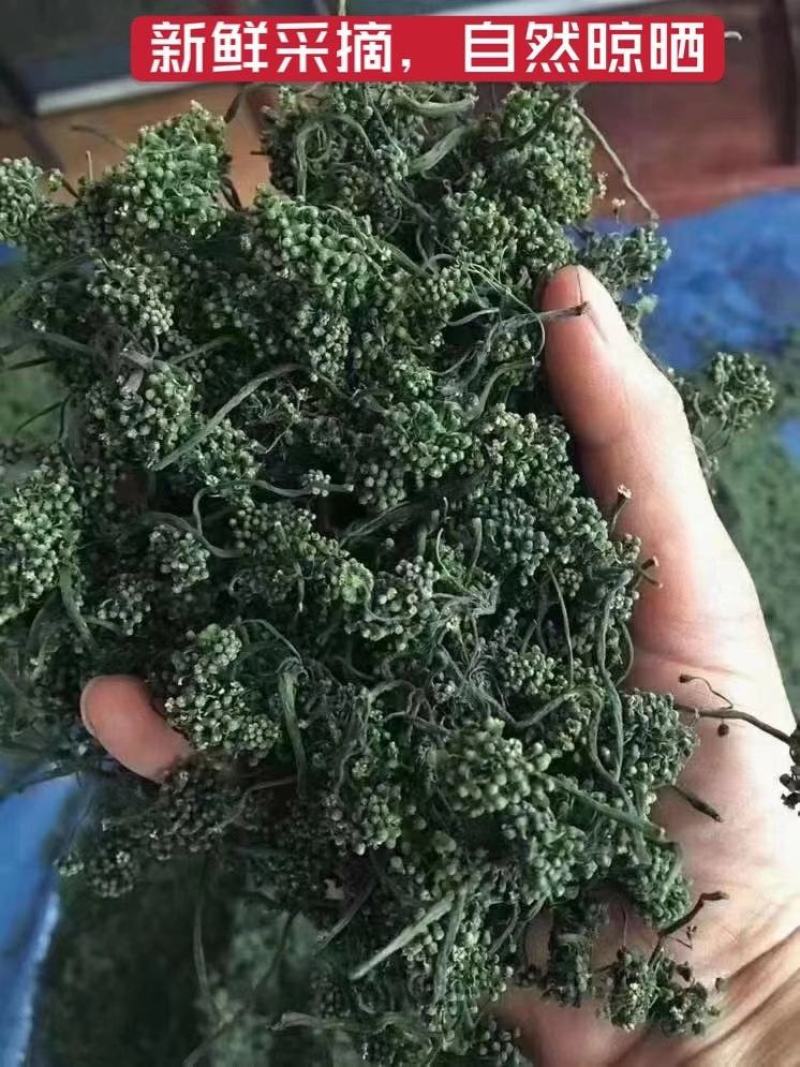 长白山六年人参花西洋参花新鲜采摘自然晾晒产地包邮
