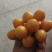 灯笼果，菇娘果一件代发供应所有平台渠道）