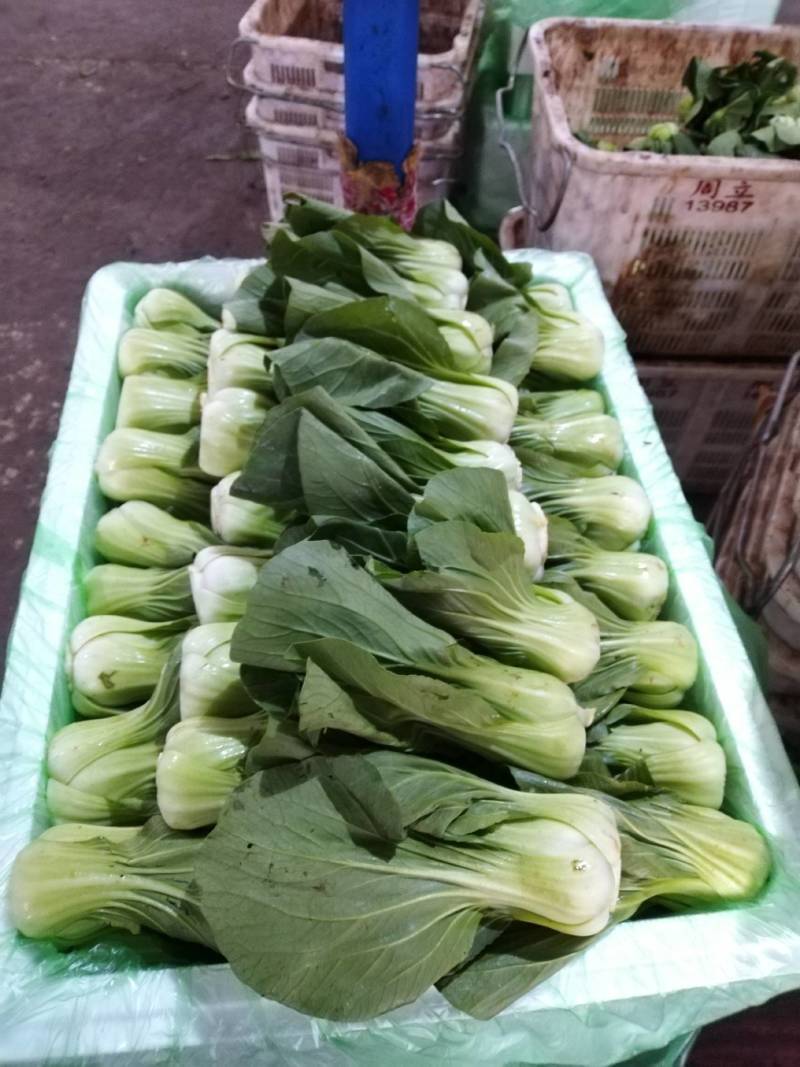 上海青（来自云南高原上的小菜）