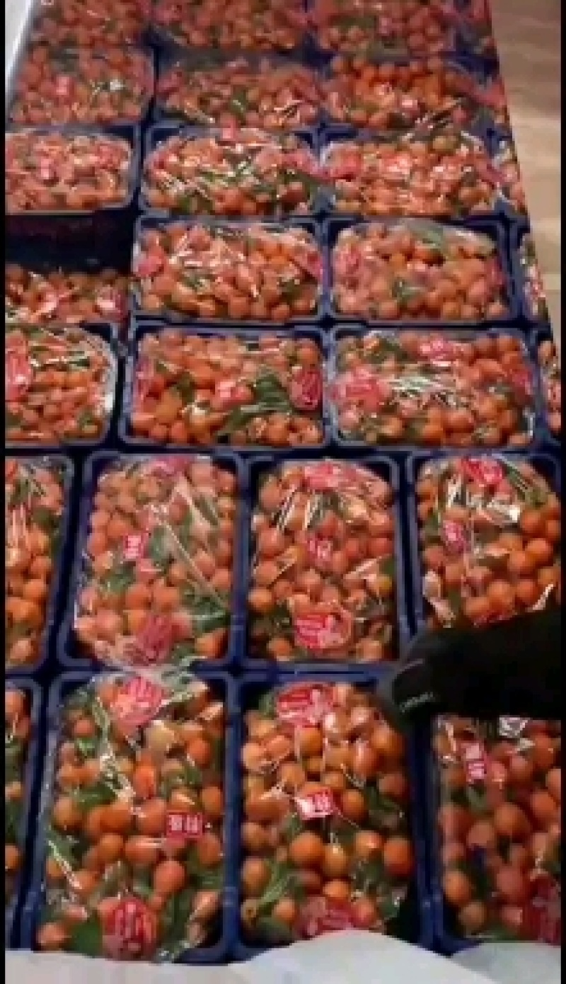 砂糖橘砂糖橘砂糖橘甜