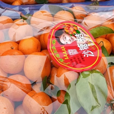 砂糖橘砂糖橘砂糖橘甜