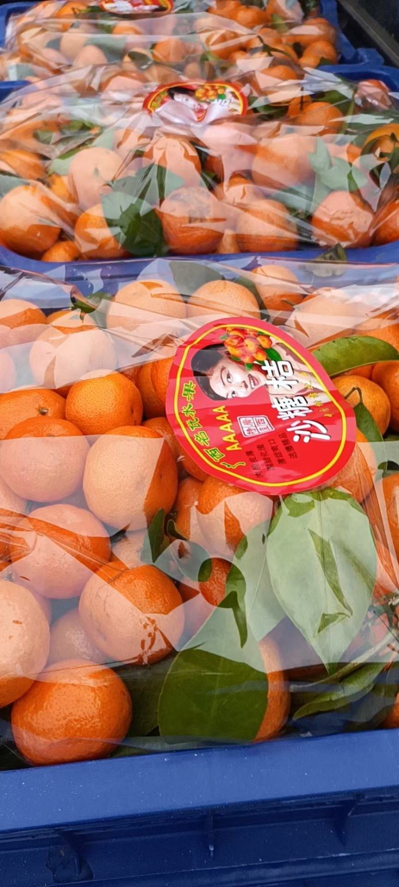 砂糖橘砂糖橘砂糖橘甜