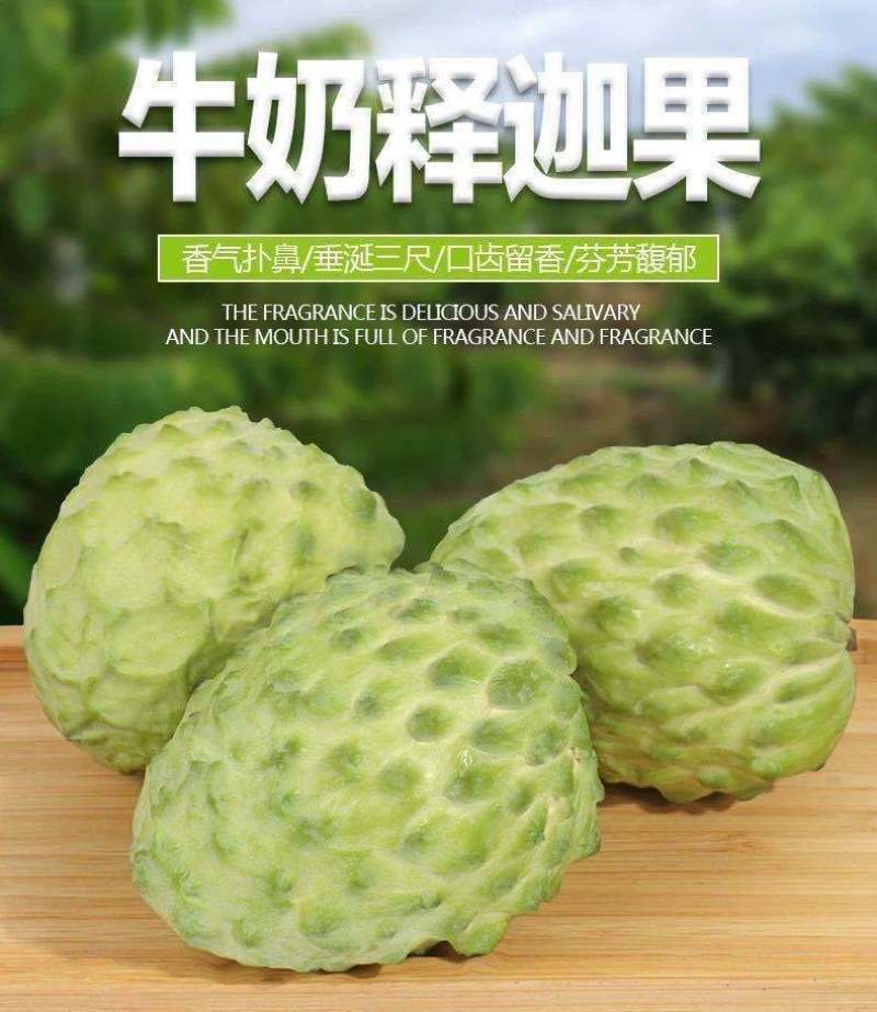 释迦果应季水果牛奶凤梨番荔枝佛头摩尼释迦菩提果