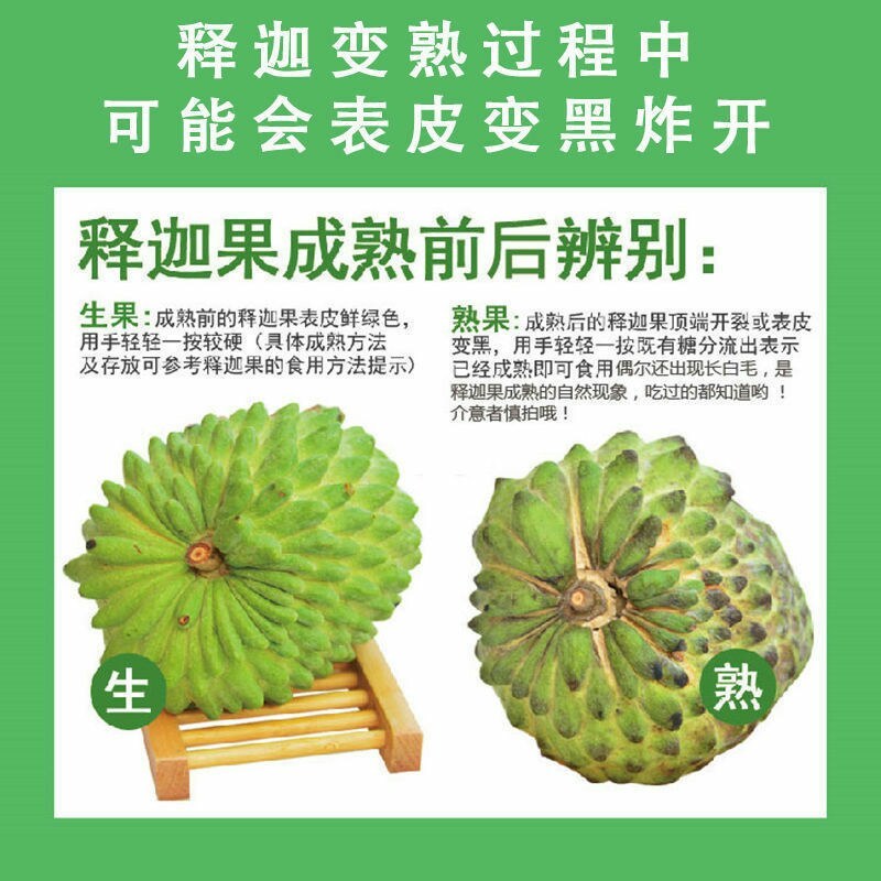 释迦果应季水果牛奶凤梨番荔枝佛头摩尼释迦菩提果