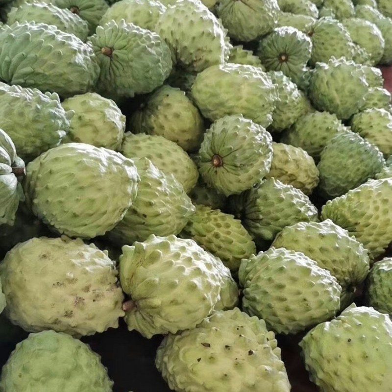 释迦果应季水果牛奶凤梨番荔枝佛头摩尼释迦菩提果