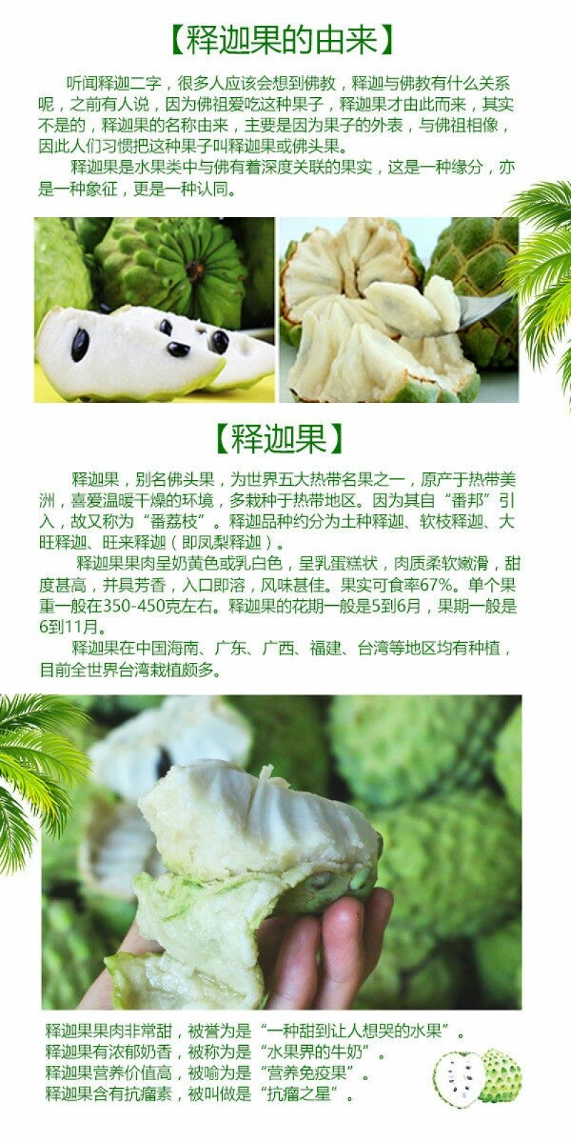 释迦果应季水果牛奶凤梨番荔枝佛头摩尼释迦菩提果