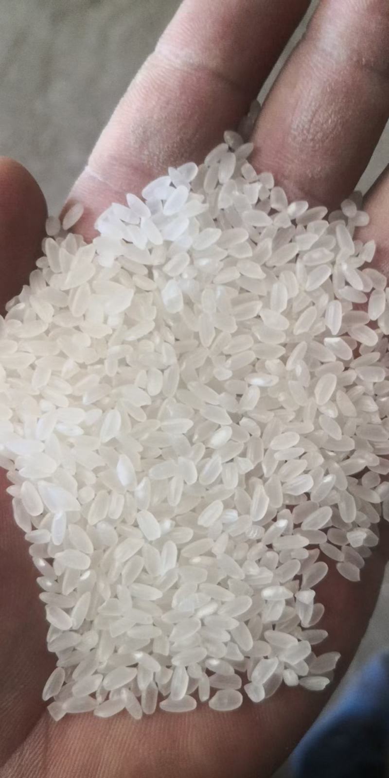 黑龙江长粒香米，香味大，米质好，质量嘎嘎好