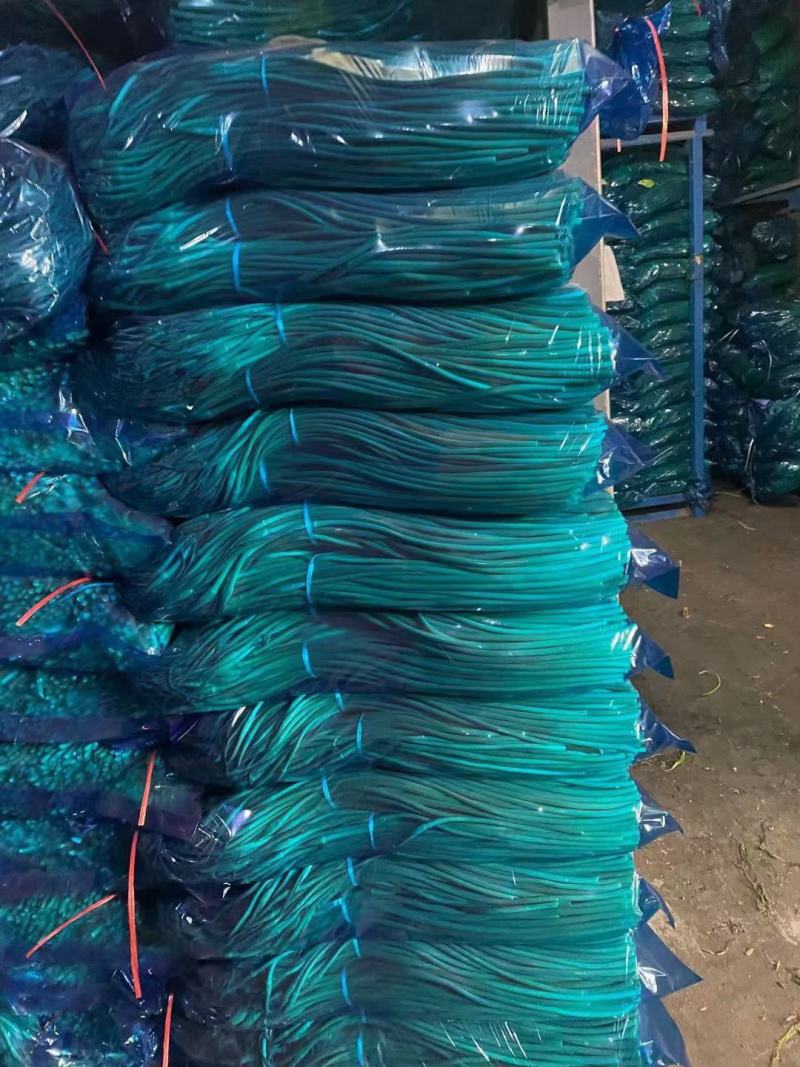 蒜苔山东蒜苔产地一手货源质量很好看货定价质量决定价格