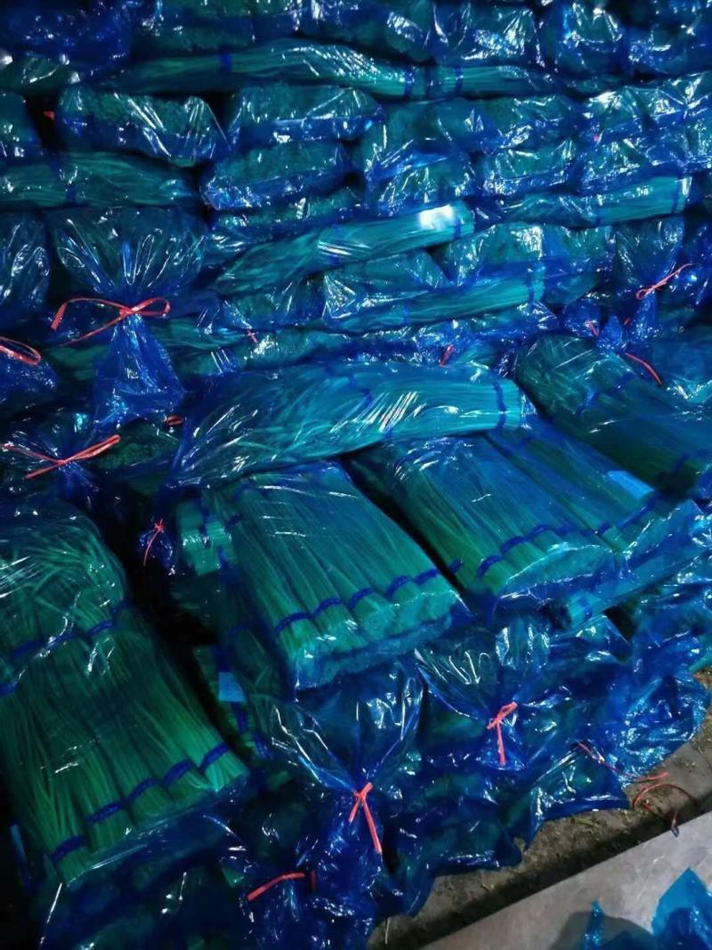 蒜苔山东蒜苔产地一手货源质量很好看货定价质量决定价格