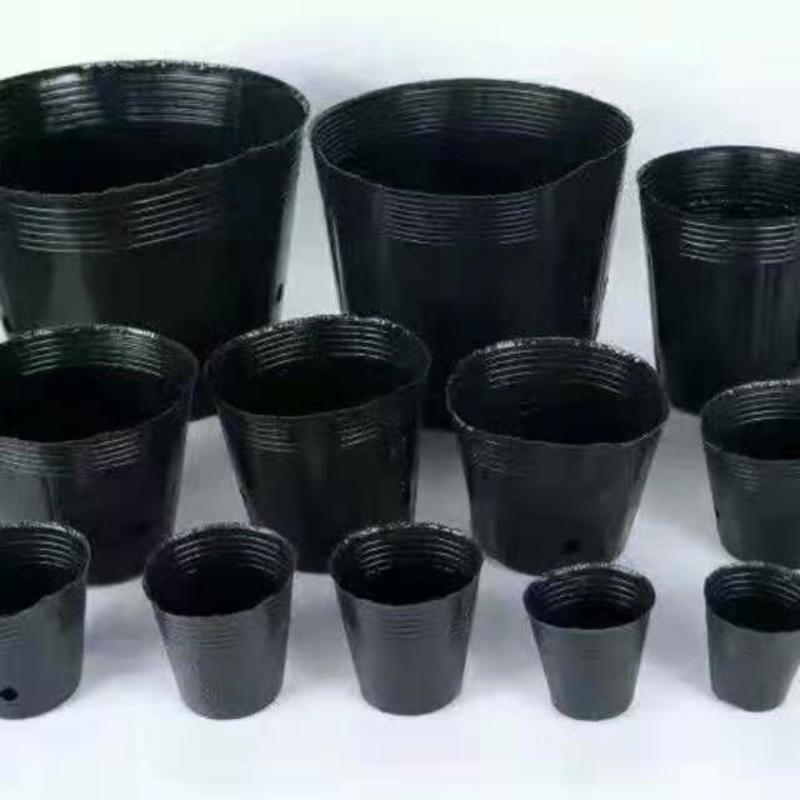 营养钵营养杯一次性黑色育苗盆抗老化塑料营养盆育苗育苗袋育