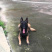 纯种马犬，驱虫疫苗已做，支持视频在线选狗