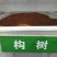 新采构树种子杂交构树种子构树种造纸树种畜禽饲喂猪