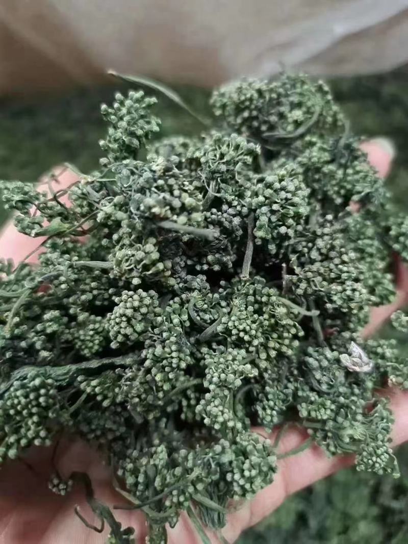 长白山六年人参花西洋参花新鲜采摘自然晾晒产地包邮