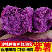 新鲜沙地紫薯粉糯紫皮番薯产地直发