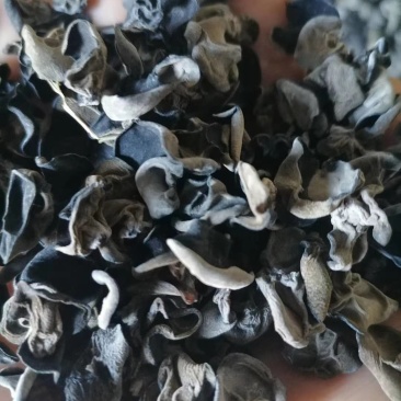 《包邮》东北小木耳，精品，质量保证，欢迎下单，