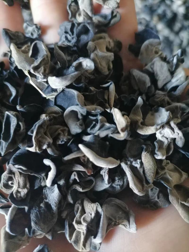 《包邮》东北小木耳，精品，质量保证，欢迎下单，