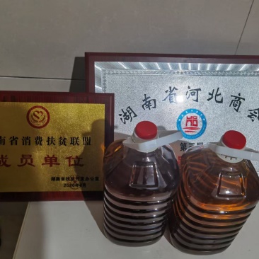 山茶油（特级：小籽山茶油）货源充足量大优惠