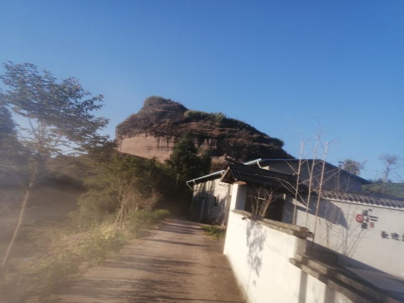 九枞天茶业全国招商授权直销店
