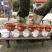 花盆塑料花盆白色红色加厚花盆《要托盘联系客服》