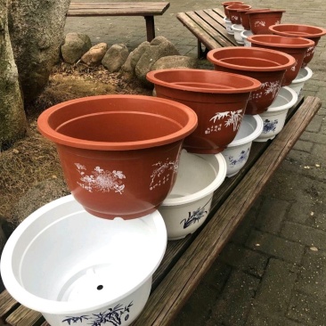 花盆塑料花盆白色红色加厚花盆《要托盘联系客服》