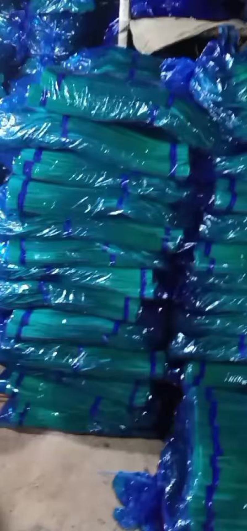 蒜苔山东蒜苔【红帽/白帽蒜苔】产地直销有加工车间