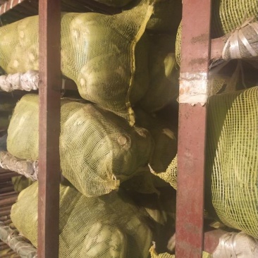 山东冷库新三号大量供应市场酸菜厂泡菜厂，品质保障