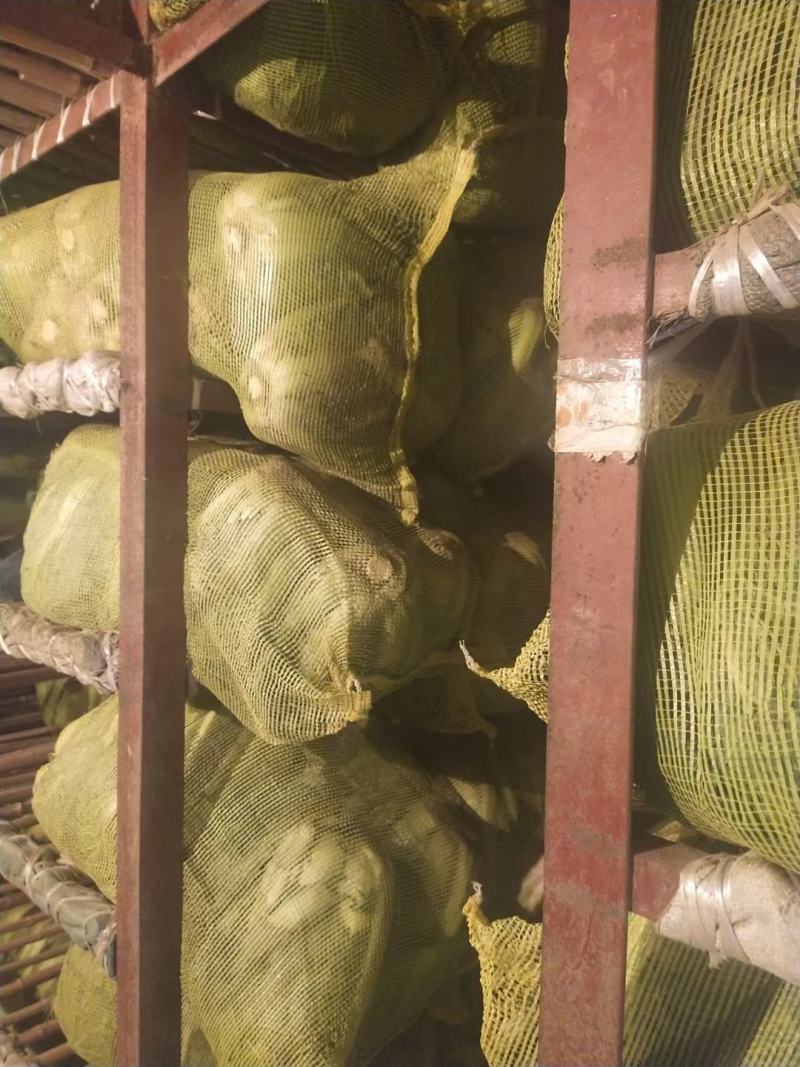 山东冷库新三号大量供应市场酸菜厂泡菜厂，品质保障