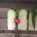 山东冷库新三号大量供应市场酸菜厂泡菜厂，品质保障