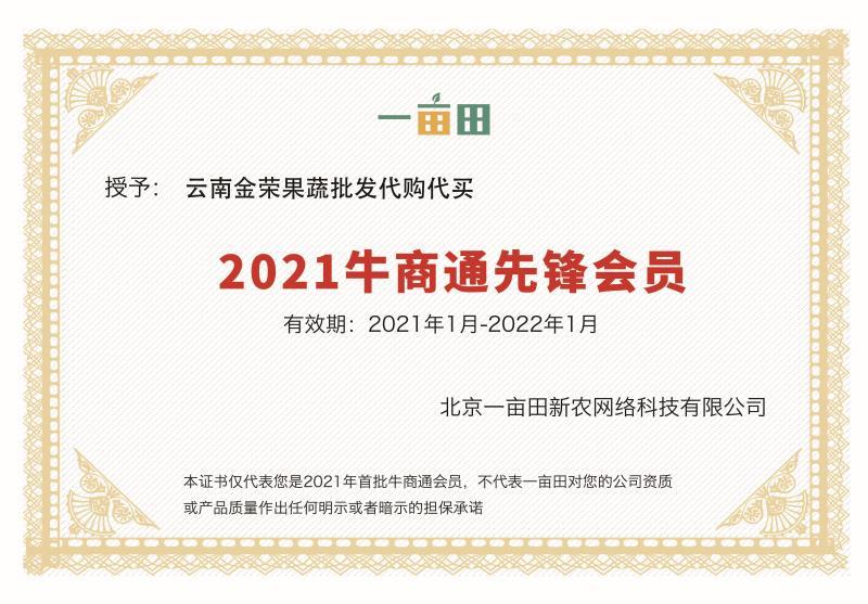 云南省蒙自市，紫皮洋己上市中！欢迎新老客户采购