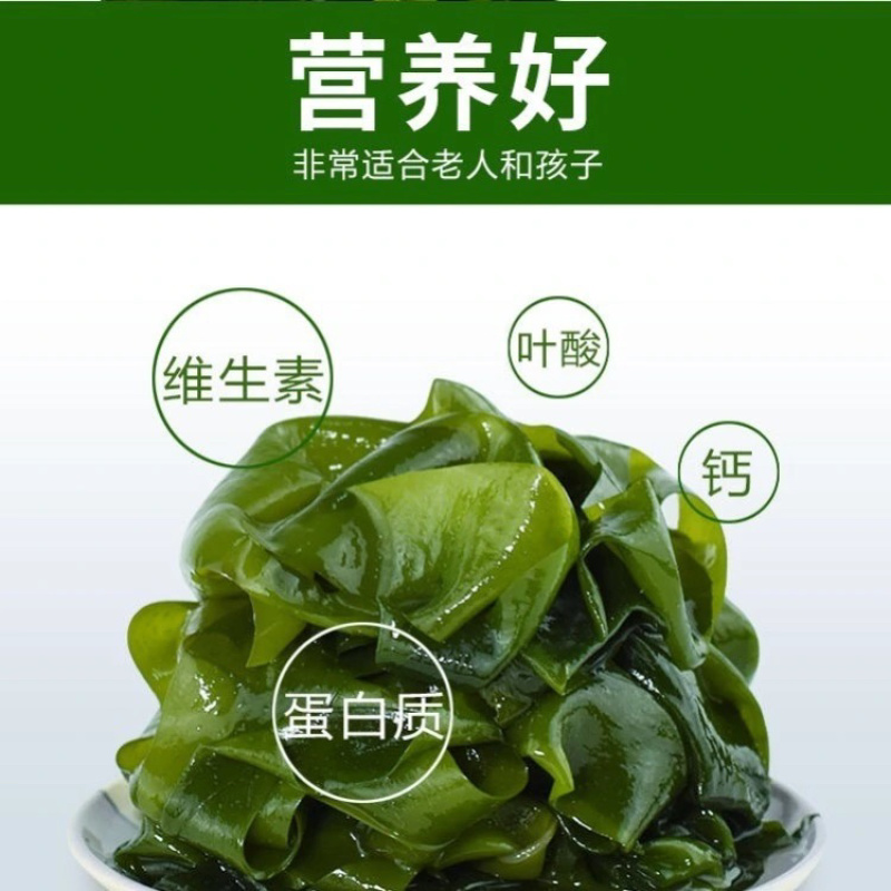 盐渍裙带菜海带裙带菜凉拌裙带菜