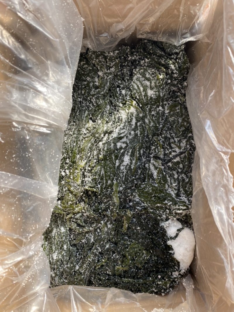盐渍裙带菜海带裙带菜凉拌裙带菜