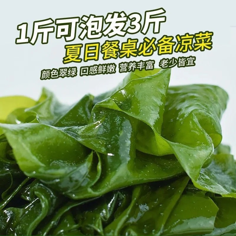 盐渍裙带菜海带裙带菜凉拌裙带菜