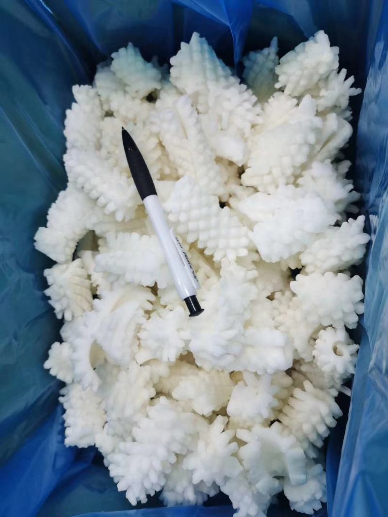 鱿鱼花目鱼花出口品质