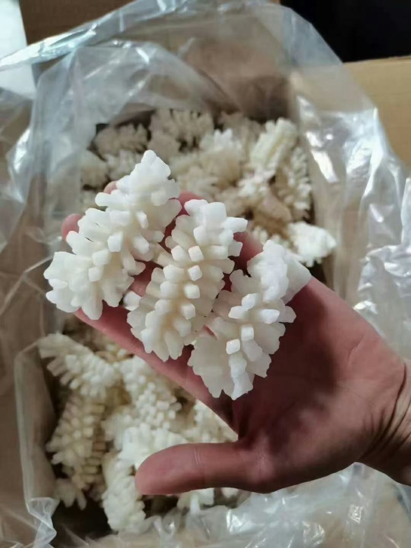 鱿鱼花目鱼花出口品质