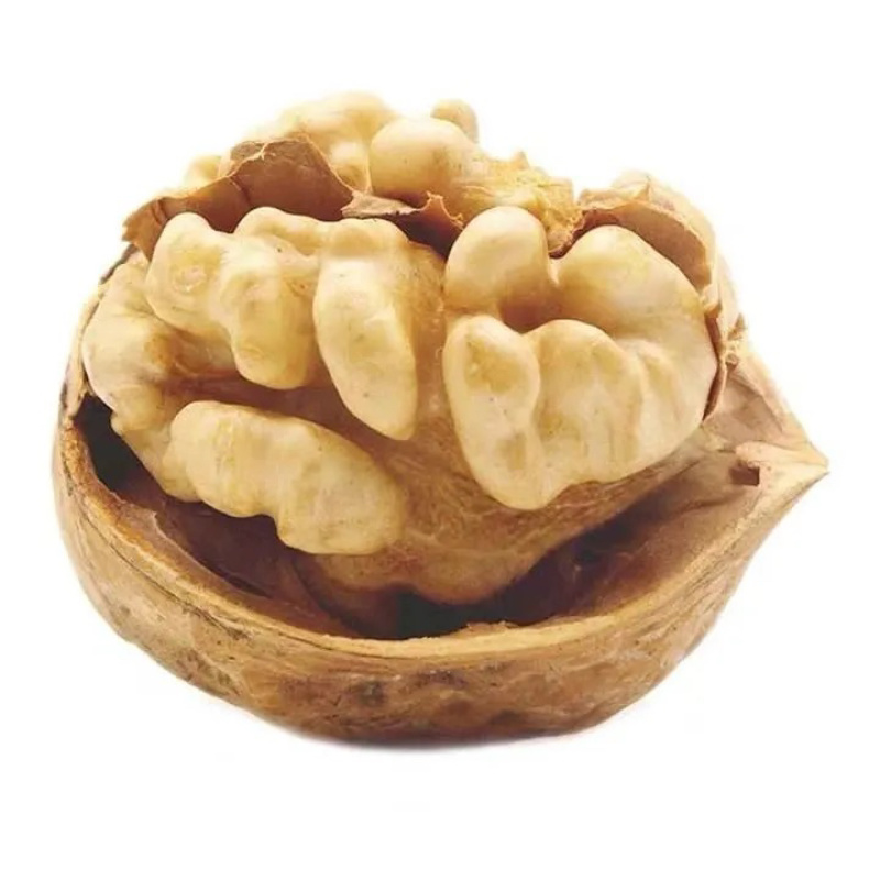 新疆185纸皮核桃，新疆核桃，厂家直销，全国发货