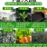 粪便发酵剂鸡粪鸭粪鹅粪猪粪牛粪羊粪发酵剂，一袋发酵五六吨