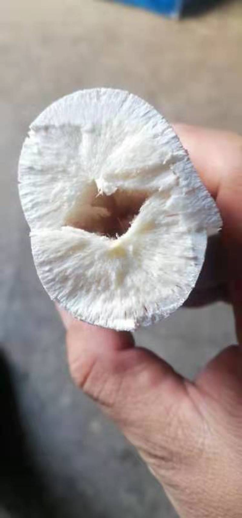 广西优质水晶木薯根产地直供代办代发张飞木薯羹