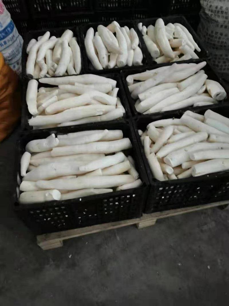 广西优质水晶木薯根产地直供代办代发张飞木薯羹