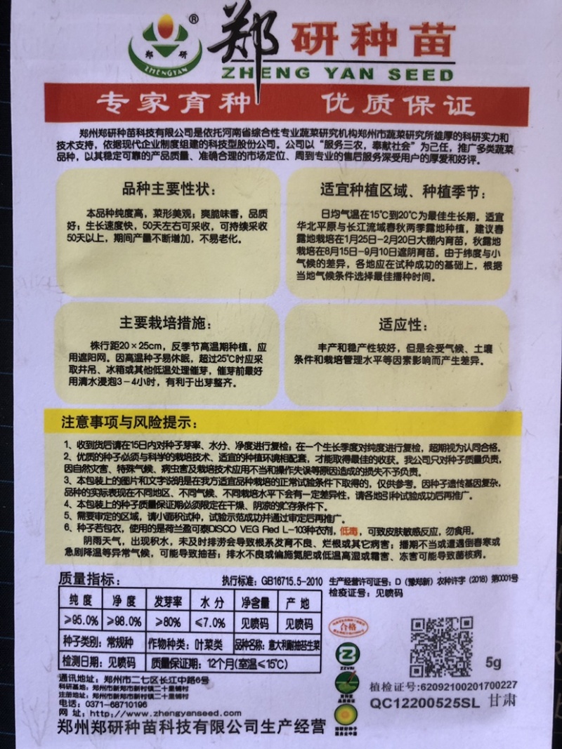半结球生长速度快生菜种子意泰利2号