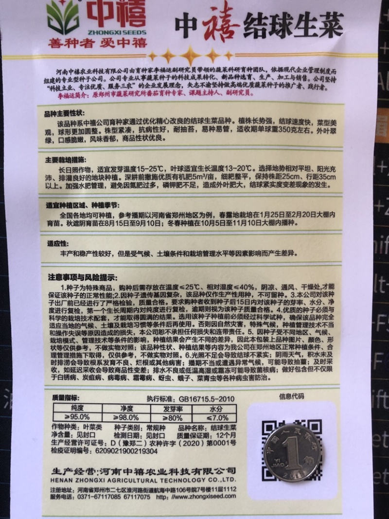 半结球生长速度快生菜种子意泰利2号