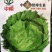 半结球生长速度快生菜种子意泰利2号
