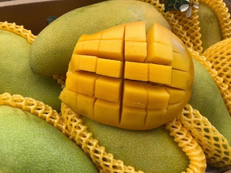 【助农义卖】保底冲量海南金芒果新鲜热带大青芒水果整箱代发