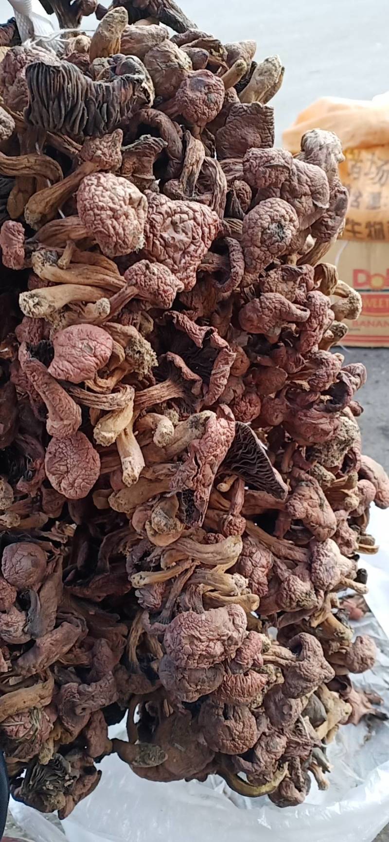 便宜红蘑，50批发，一手货源铆钉菇，红蘑，需要的联系