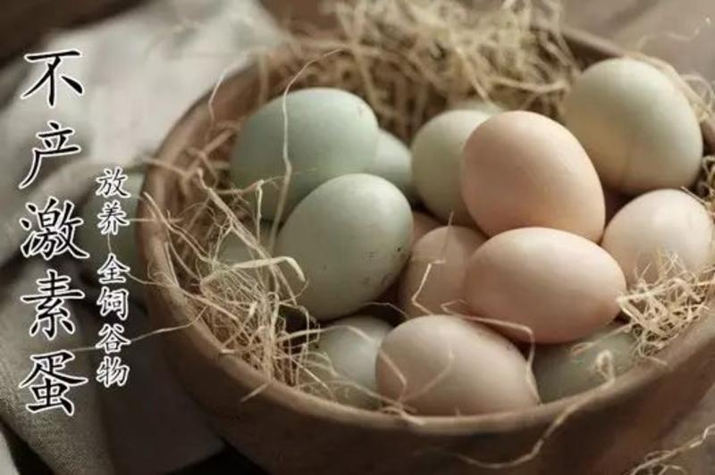 【宝宝营养蛋】七彩山鸡蛋野鸡蛋正宗农家散养新鲜鸡蛋营养高