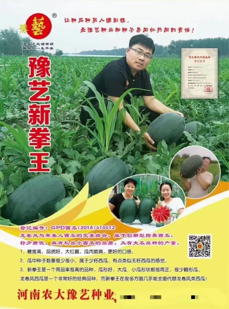 豫艺新拳王西瓜种子大红瓤籽少黑皮西瓜种子