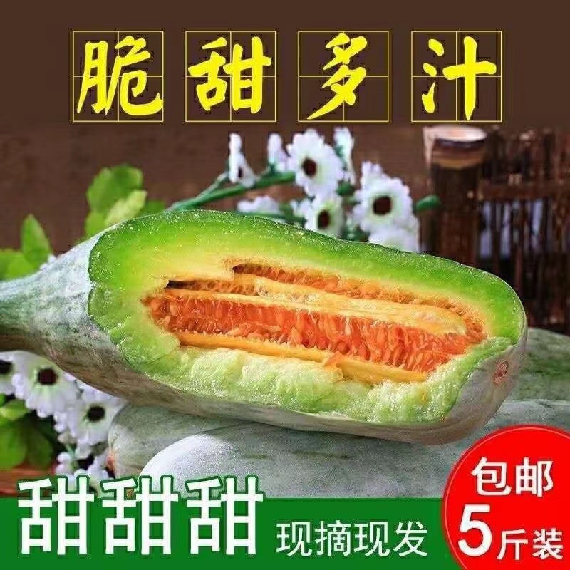 羊角蜜甜瓜山东寿光自产自销大量有货