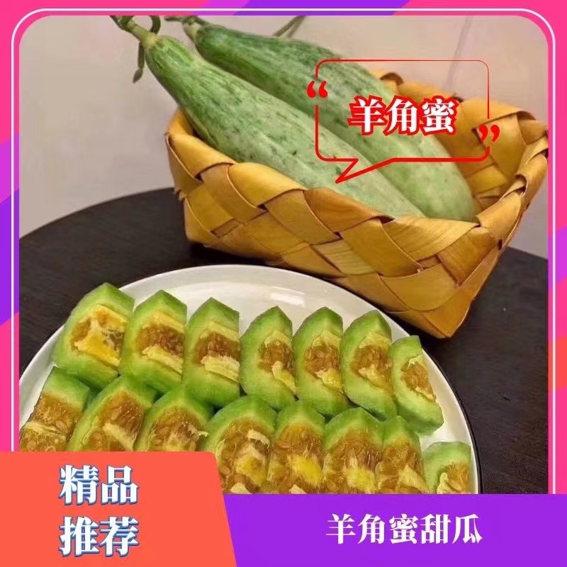 羊角蜜甜瓜山东寿光自产自销大量有货